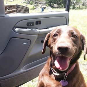 Meet your Posher, Sommer